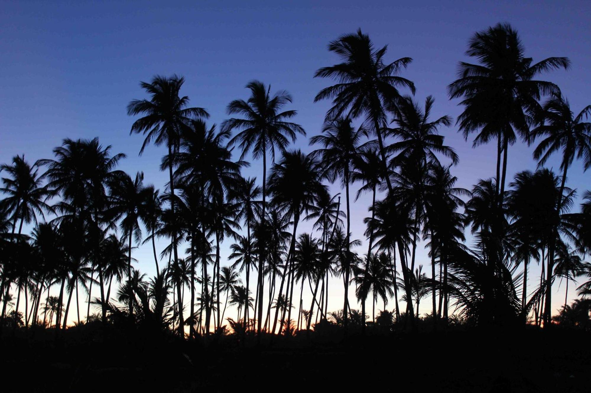 Dreamland - Taipu De Fora - Barra Grande