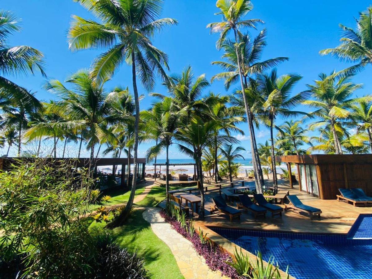 Dreamland - Taipu De Fora - Barra Grande