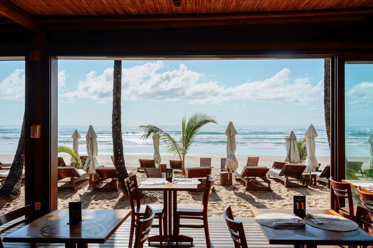 Dreamland - Taipu De Fora - Barra Grande Guest house Barra Grande (Bahia)